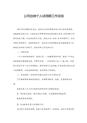公司出纳个人试用期工作总结.docx
