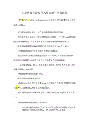 乙肝病毒生活史侵入肝细胞与病毒组装.docx