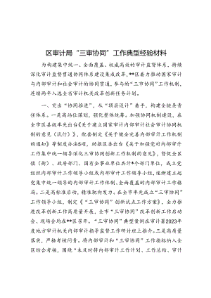 区审计局“三审协同”工作典型经验材料.docx