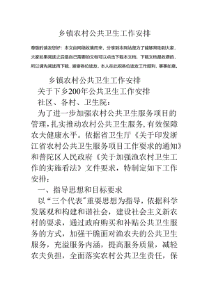乡镇农村公共卫生工作计划.docx