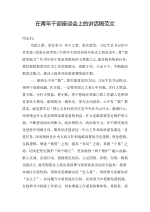 在青年干部座谈会上的讲话稿范文.docx