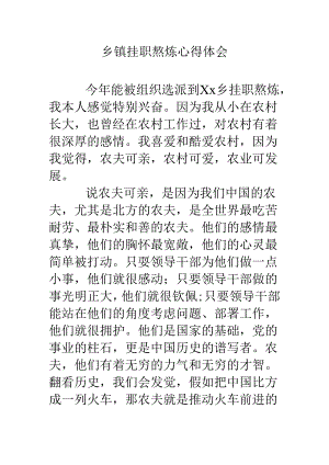 乡镇挂职锻炼心得体会.docx