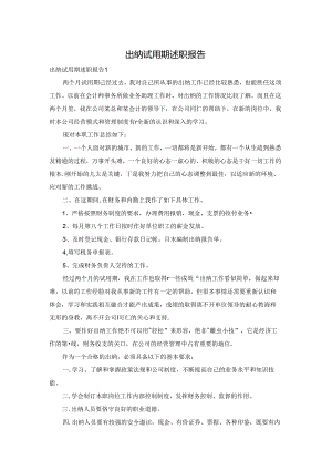 出纳试用期述职报告.docx