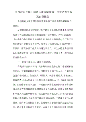 乡镇稳定乡镇干部队伍和落实乡镇干部待遇有关情况自查报告.docx