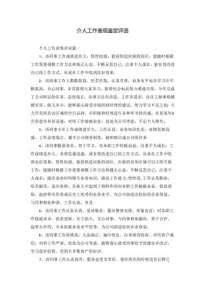 个人工作表现鉴定评语.docx