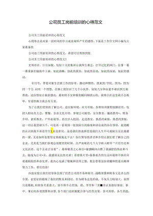 公司员工岗前培训的心得范文.docx