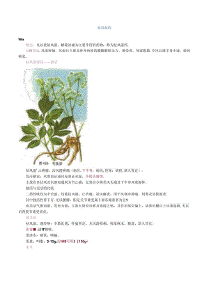 中药执业药师祛风湿药重点详解.docx