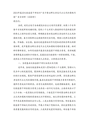 2024年基层纪检监察干部培训“关于整治群众身边不正之风和腐败问题”发言材料（3550字）.docx