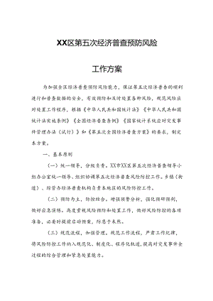XX区第五次经济普查预防风险工作方案.docx