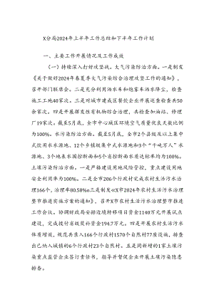 X分局2024年上半年工作总结和下半年工作计划.docx