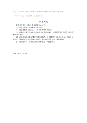 一人清算组决定.docx