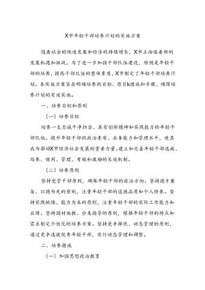 X市年轻干部培养计划的实施方案.docx