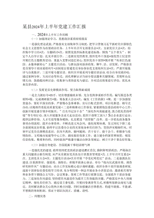 某县2024年上半年党建工作汇报.docx