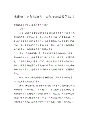演讲稿：责任与担当青年干部成长的基石.docx