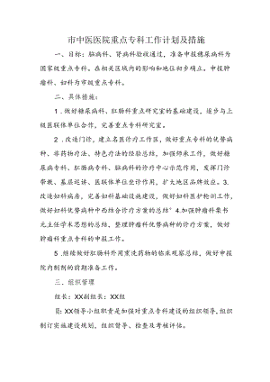 市中医医院重点专科工作计划及措施.docx