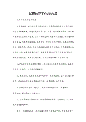 试用转正工作总结6篇.docx