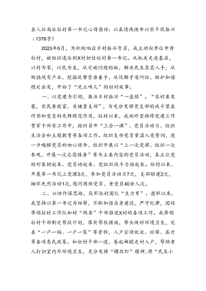 县人社局派驻村第一书记心得感悟：以真情践使命以实干促振兴.docx