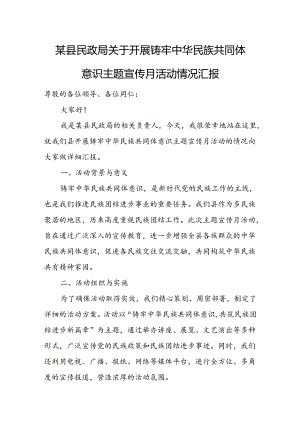 某县民政局关于开展铸牢中华民族共同体意识主题宣传月活动情况汇报.docx