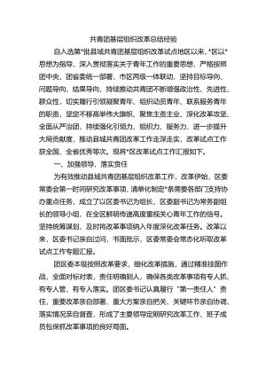 共青团基层组织改革总结经验.docx