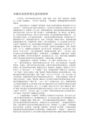 市城市高效管理先进经验材料.docx