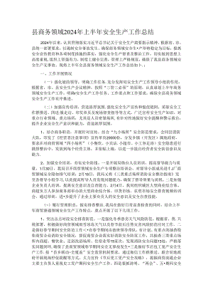 县商务领域2024年上半年安全生产工作总结.docx