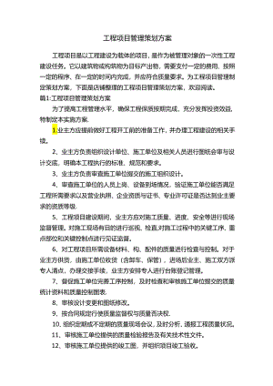 工程项目管理策划方案.docx