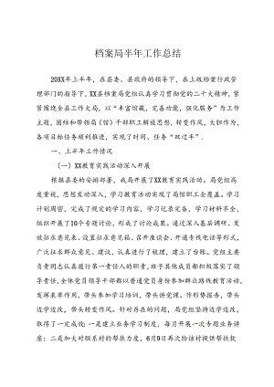 档案局工作总结.docx