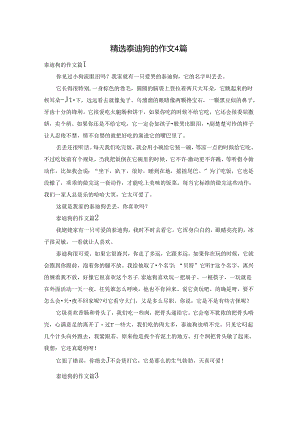精选泰迪狗的作文4篇.docx