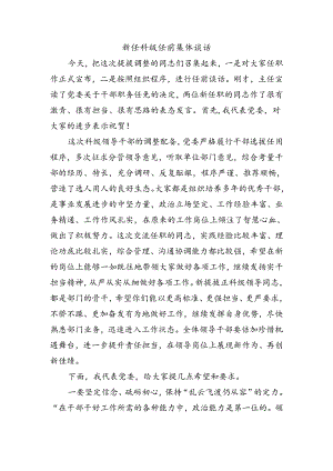 新任科级任前集体谈话.docx