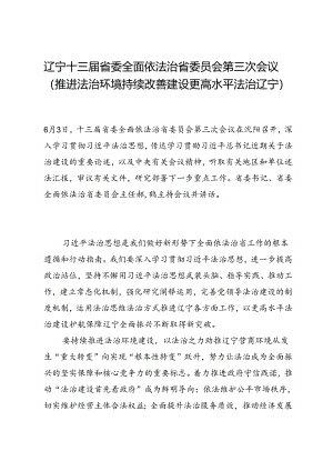 领导讲话∣党政综合：20240603辽宁十三届省委全面依法治省委员会第三次会议（推进法治环境持续改善 建设更高水平法治辽宁）.docx