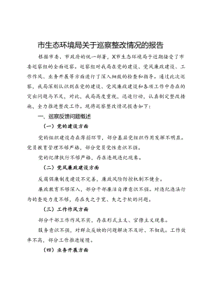 市生态环境局关于巡察整改情况的报告.docx