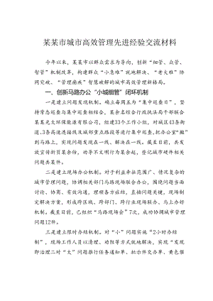某某市城市高效管理先进经验交流材料.docx