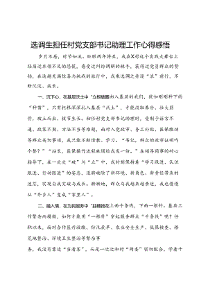 选调生担任村党支部书记助理工作心得感悟.docx