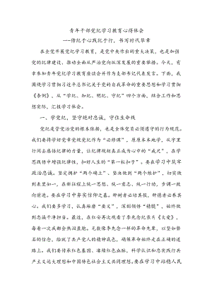 青年干部党纪学习教育心得体会.docx