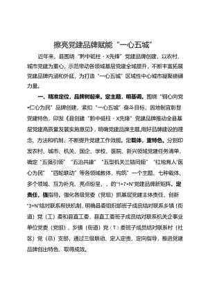 经验做法：擦亮党建品牌 赋能“一心五城”.docx