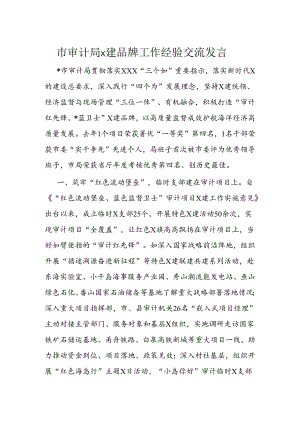 市审计局x建品牌工作经验交流发言.docx