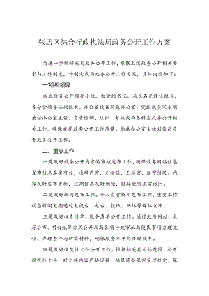 张店区综合行政执法局政务公开工作方案.docx