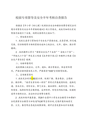 开展校园专项督导及安全半年考核自查报告.docx