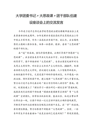 大学团委书记“大思政课”团干部队伍建设座谈会上的交流发言.docx