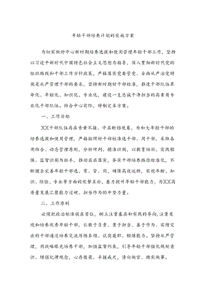 年轻干部培养计划的实施方案.docx