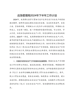 应急管理局2024年下半年工作计划.docx