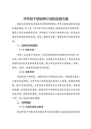 市年轻干部培养计划的实施方案.docx