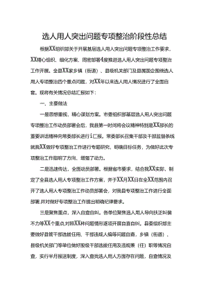 选人用人突出问题专项整治阶段性总结.docx
