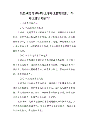 某县税务局2024年上半年工作总结及下半年工作计划安排.docx