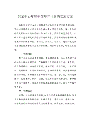 某某中心年轻干部培养计划的实施方案.docx