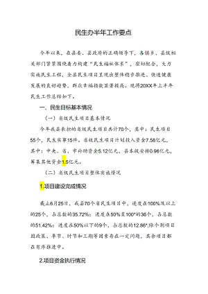 民生办半年工作要点.docx