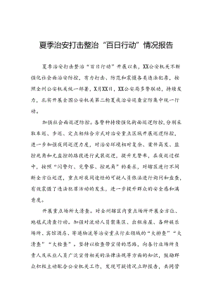 派出所开展夏季治安打击整治“百日行动”情况总结报告8篇.docx