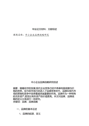 文献综述 中小企业品牌战略研究分析.docx