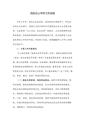 民生办上半年工作总结.docx