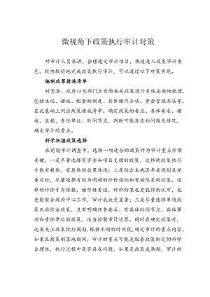 微视角下政策执行审计对策.docx